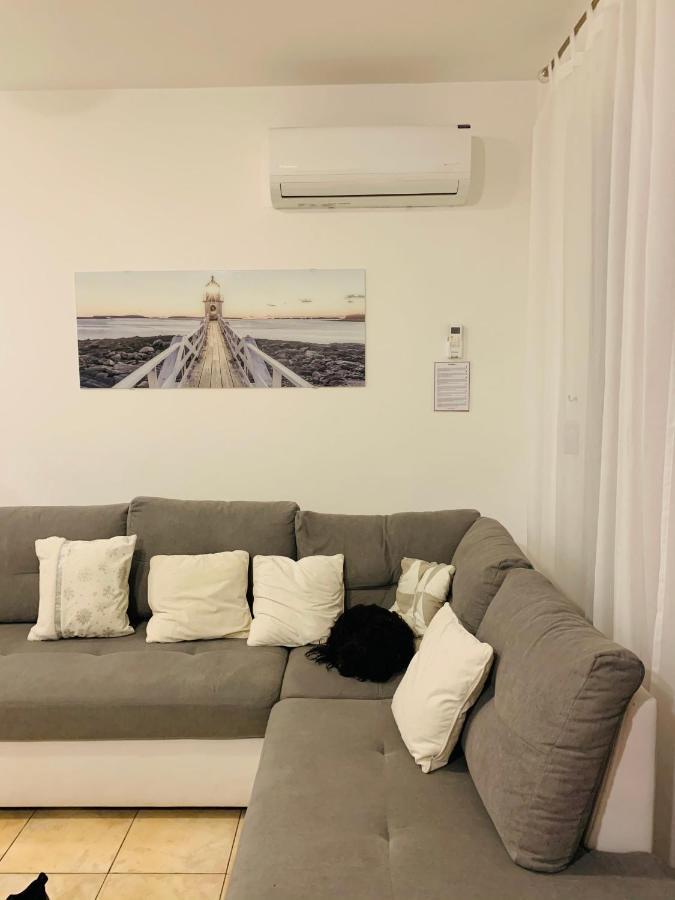 Ivana Apartment With Terrace Novalja Dış mekan fotoğraf